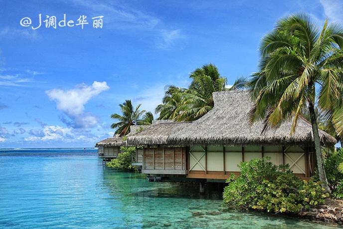 心理测试:你最想实现的一个愿望是什么?-打破常规的红迪网平台